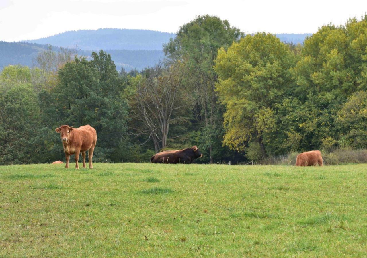 Ferienhaus Vulkaneifel Kopp 外观 照片